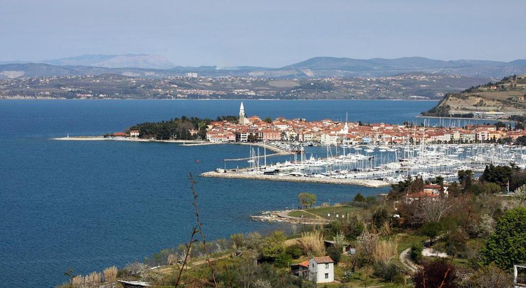 Apartma Soncek Izola Dış mekan fotoğraf